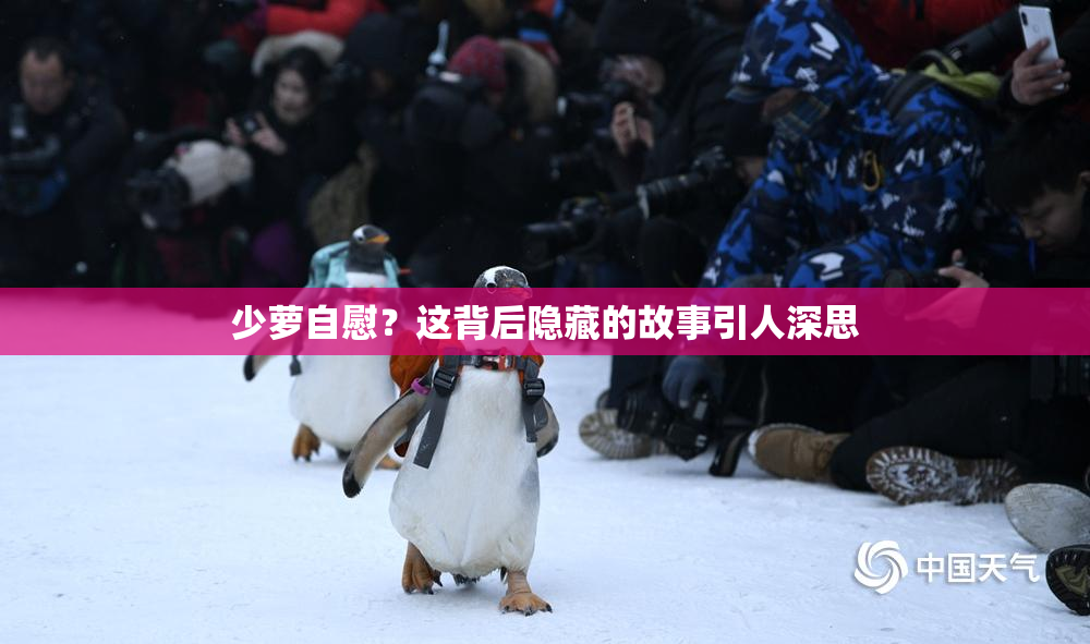 少萝自慰？这背后隐藏的故事引人深思