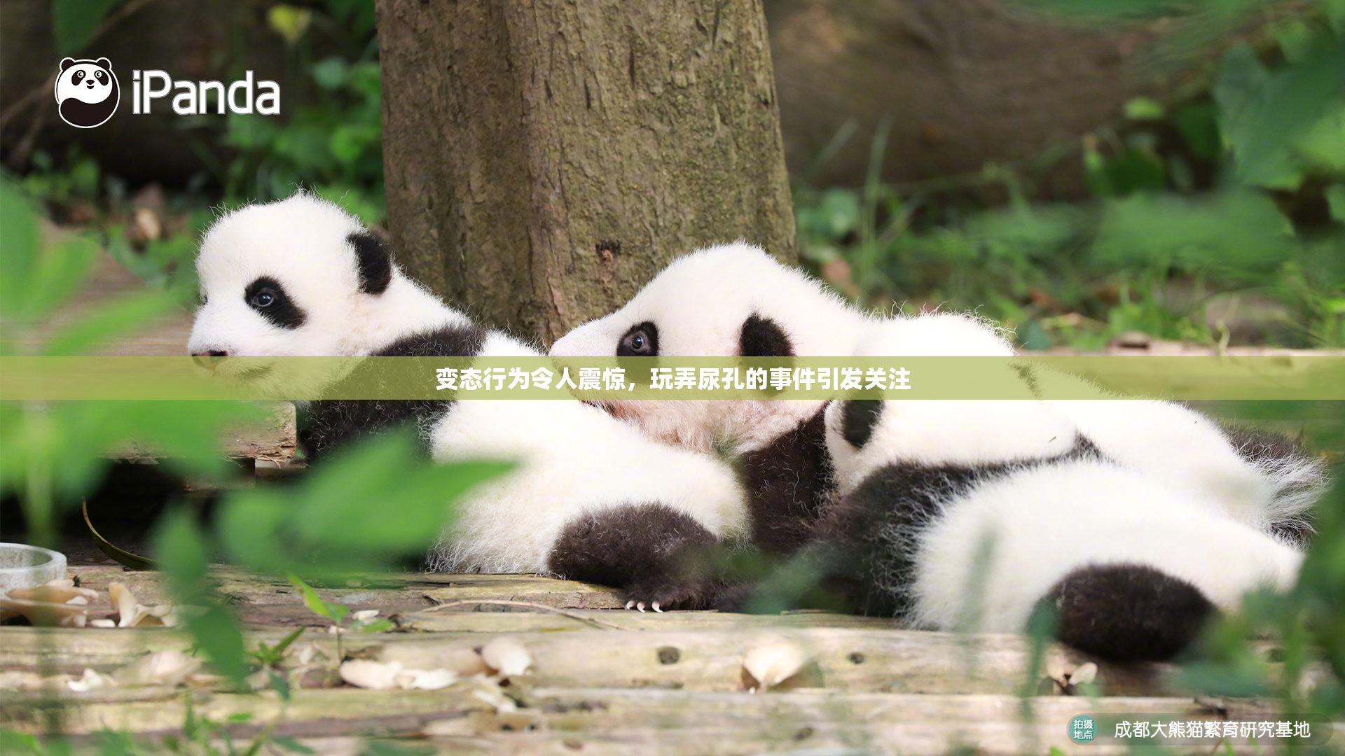 变态行为令人震惊，玩弄尿孔的事件引发关注