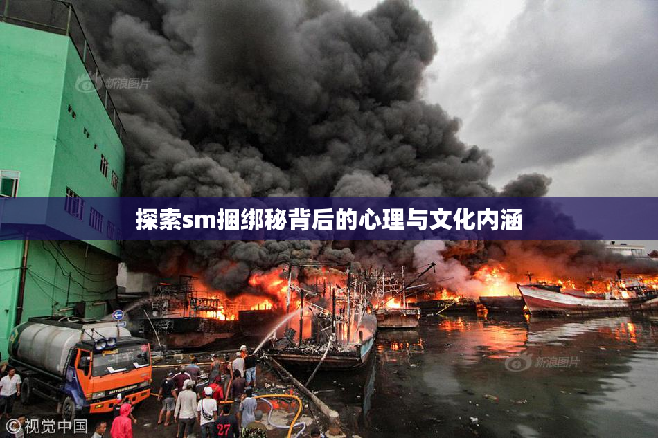 探索sm捆绑秘背后的心理与文化内涵