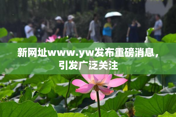 新网址www.yw发布重磅消息，引发广泛关注
