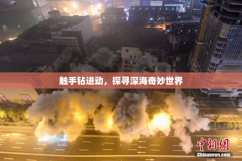 触手钻进动，探寻深海奇妙世界