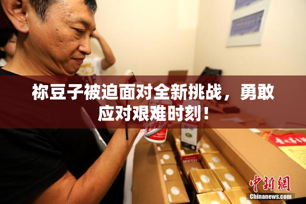 祢豆子被迫面对全新挑战，勇敢应对艰难时刻！