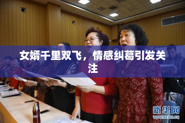 女婿千里双飞，情感纠葛引发关注