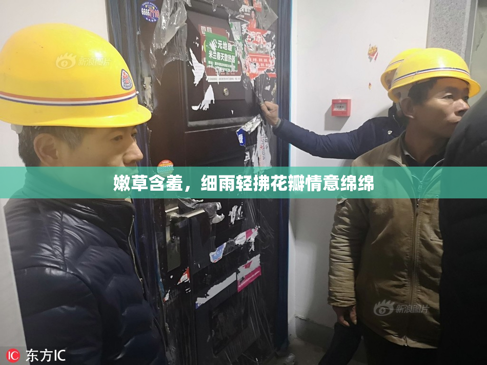 嫩草含羞，细雨轻拂花瓣情意绵绵