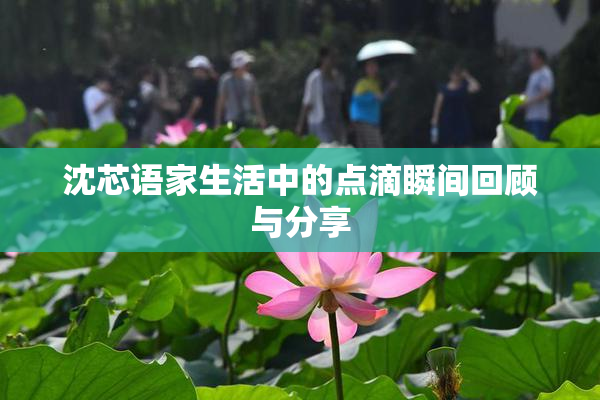 沈芯语家生活中的点滴瞬间回顾与分享