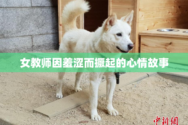 女教师因羞涩而撅起的心情故事