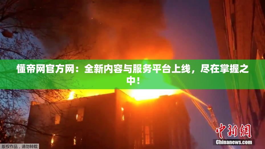 懂帝网官方网：全新内容与服务平台上线，尽在掌握之中！