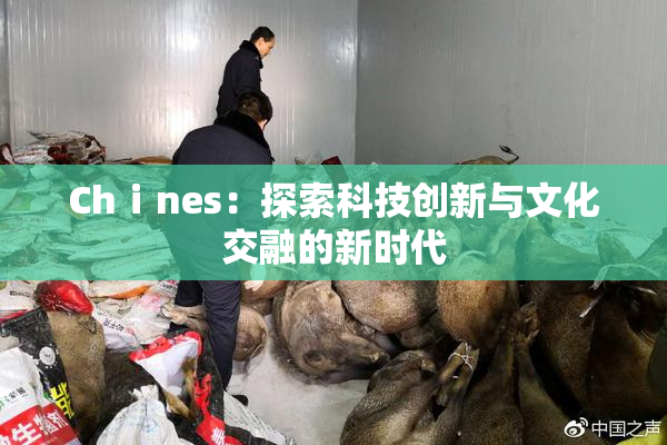 Chⅰnes：探索科技创新与文化交融的新时代