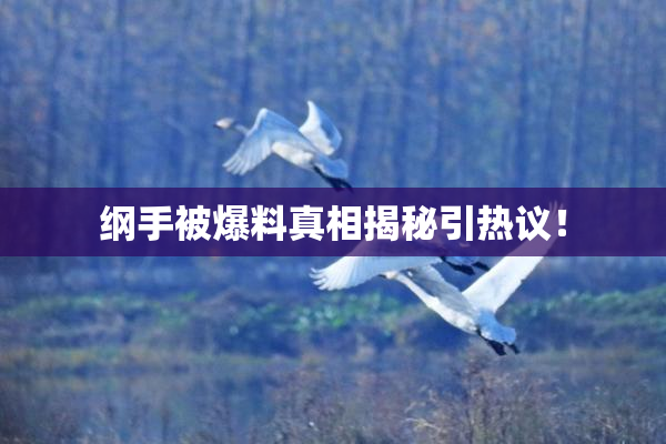 纲手被爆料真相揭秘引热议！
