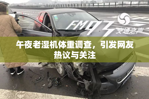 午夜老湿机体重调查，引发网友热议与关注