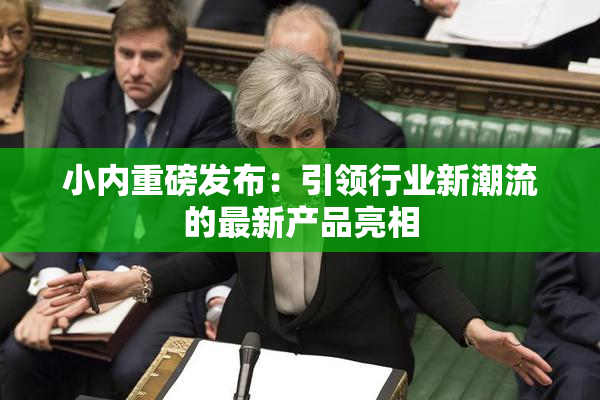 小内重磅发布：引领行业新潮流的最新产品亮相