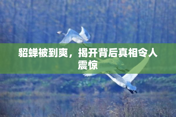 貂蝉被到爽，揭开背后真相令人震惊