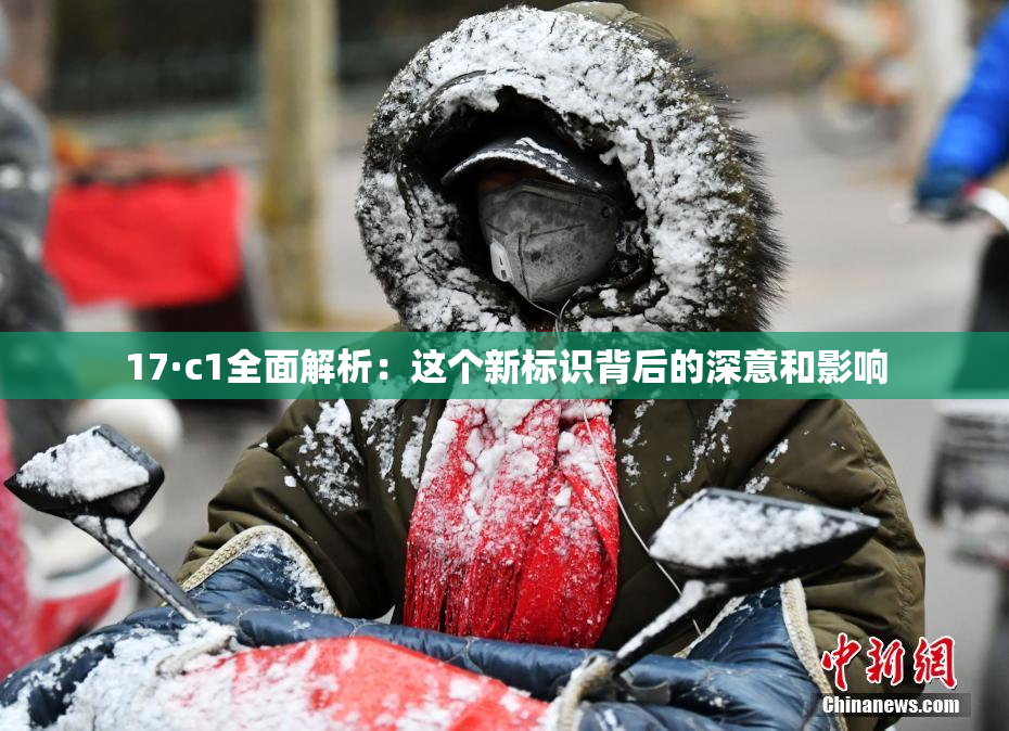17·c1全面解析：这个新标识背后的深意和影响