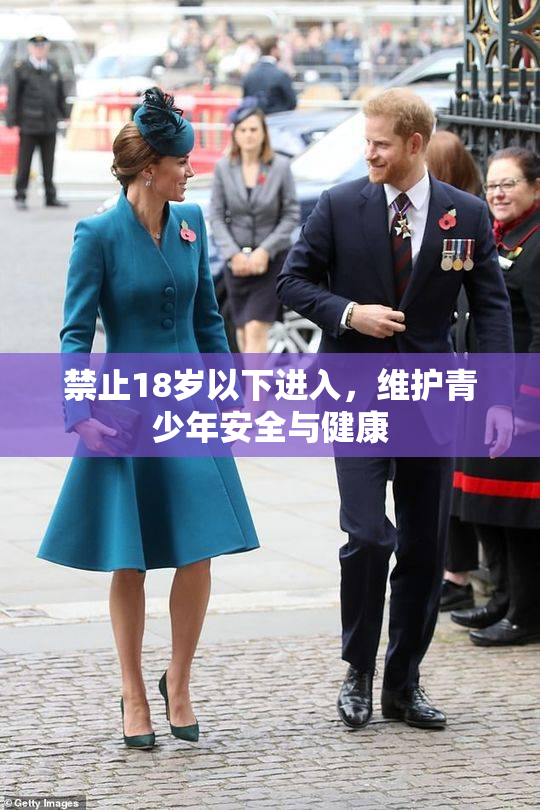 禁止18岁以下进入，维护青少年安全与健康