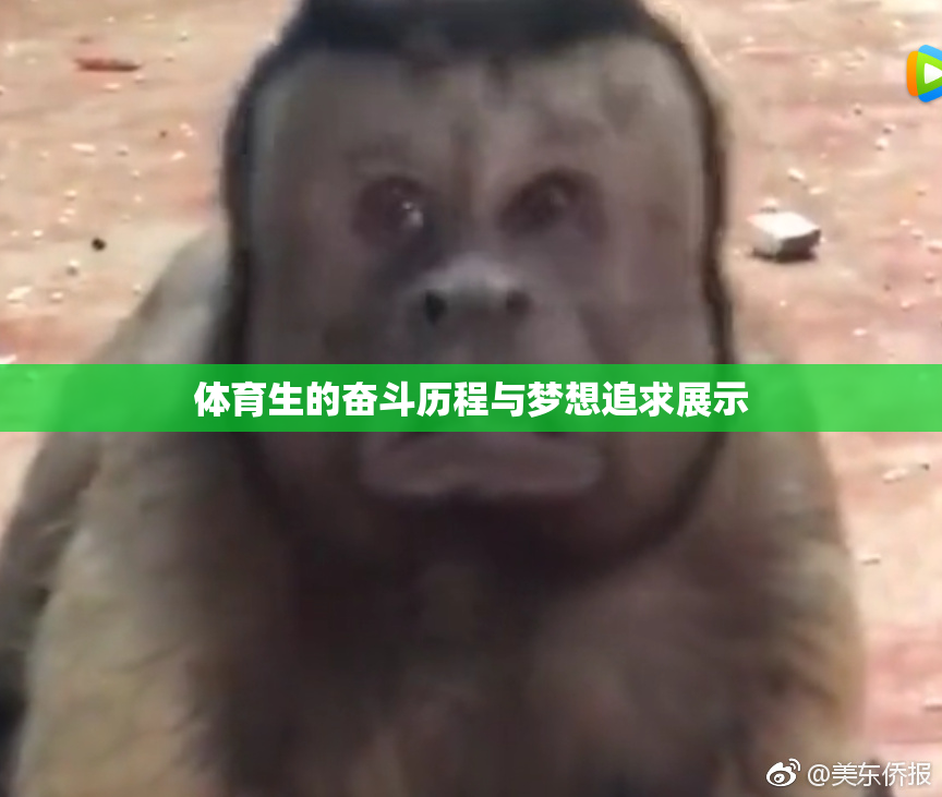 体育生的奋斗历程与梦想追求展示