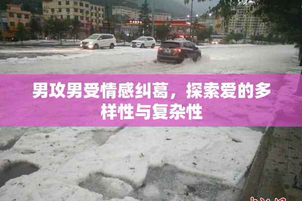 男攻男受情感纠葛，探索爱的多样性与复杂性