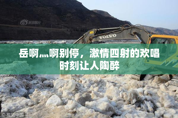 岳啊灬啊别停，激情四射的欢唱时刻让人陶醉
