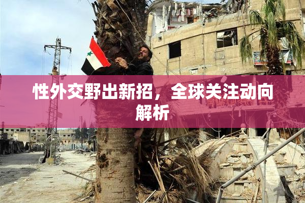 性外交野出新招，全球关注动向解析