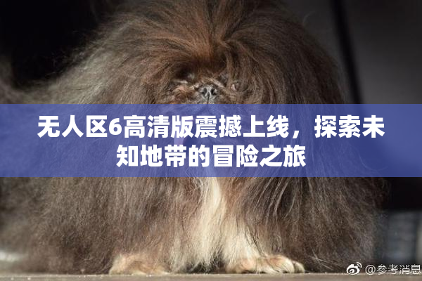 无人区6高清版震撼上线，探索未知地带的冒险之旅