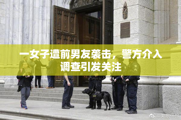 一女子遭前男友袭击，警方介入调查引发关注