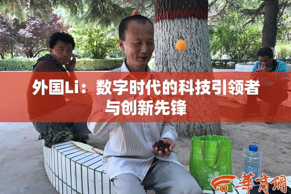 外国Li：数字时代的科技引领者与创新先锋