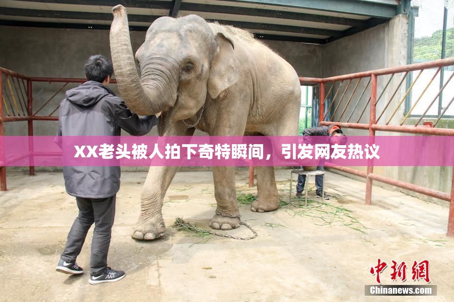 XX老头被人拍下奇特瞬间，引发网友热议
