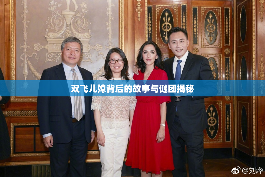 双飞儿媳背后的故事与谜团揭秘