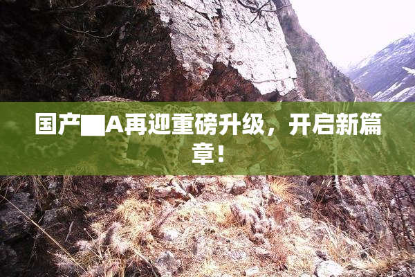 国产▇A再迎重磅升级，开启新篇章！