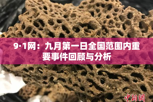 9·1网：九月第一日全国范围内重要事件回顾与分析