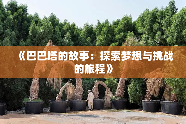 《巴巴塔的故事：探索梦想与挑战的旅程》