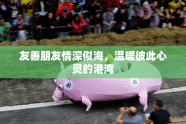友善朋友情深似海，温暖彼此心灵的港湾