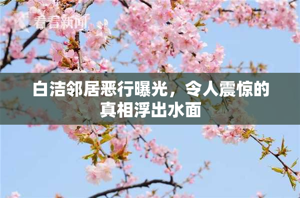 白洁邻居恶行曝光，令人震惊的真相浮出水面