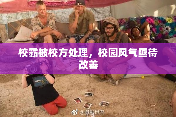 校霸被校方处理，校园风气亟待改善