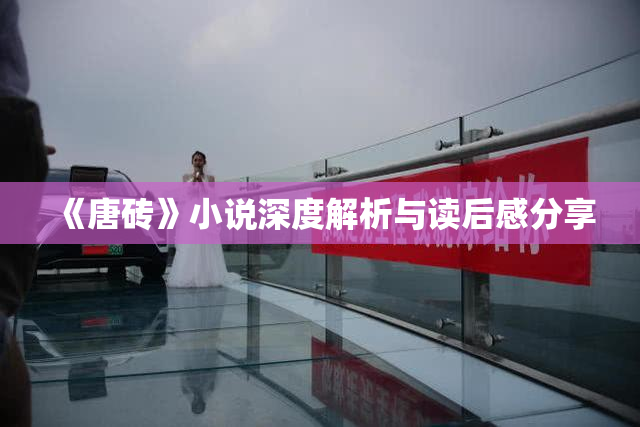 《唐砖》小说深度解析与读后感分享
