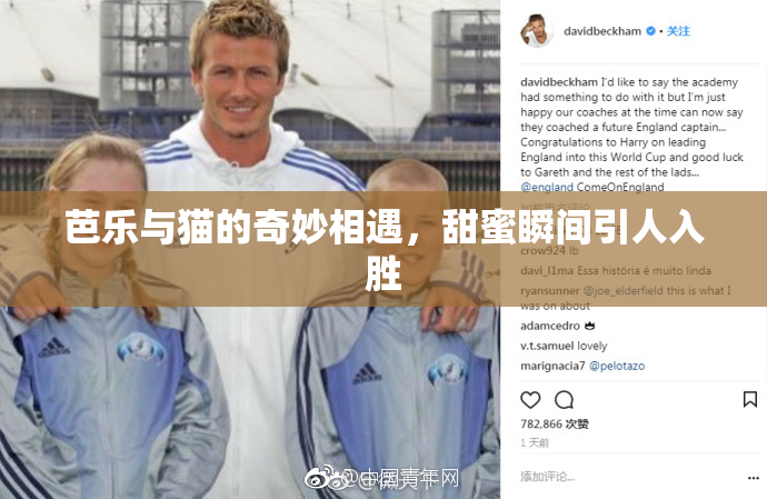 芭乐与猫的奇妙相遇，甜蜜瞬间引人入胜