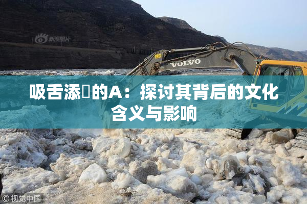 吸舌添泬的A：探讨其背后的文化含义与影响