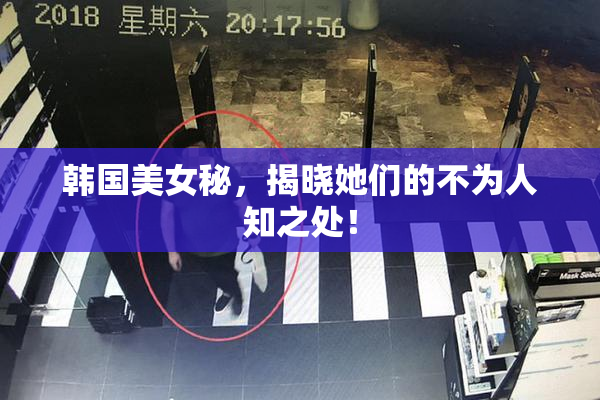 韩国美女秘，揭晓她们的不为人知之处！