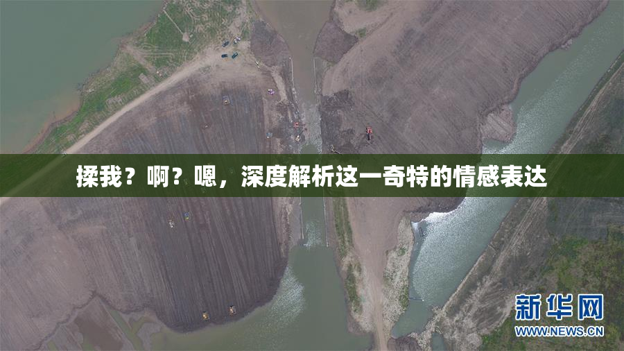 揉我？啊？嗯，深度解析这一奇特的情感表达