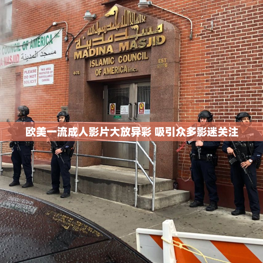欧美一流成人影片大放异彩 吸引众多影迷关注