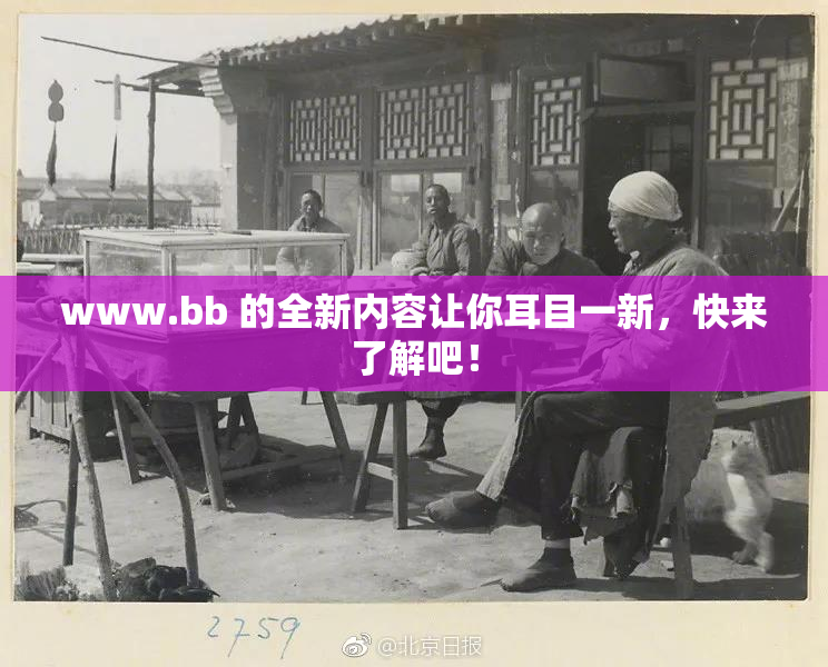 www.bb 的全新内容让你耳目一新，快来了解吧！