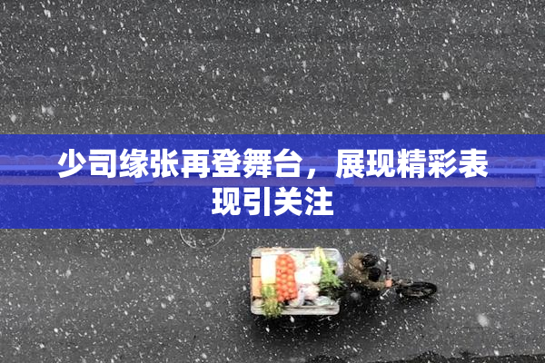 少司缘张再登舞台，展现精彩表现引关注