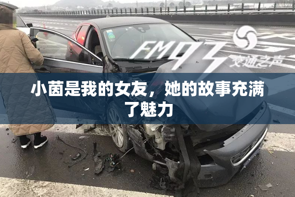 小茵是我的女友，她的故事充满了魅力