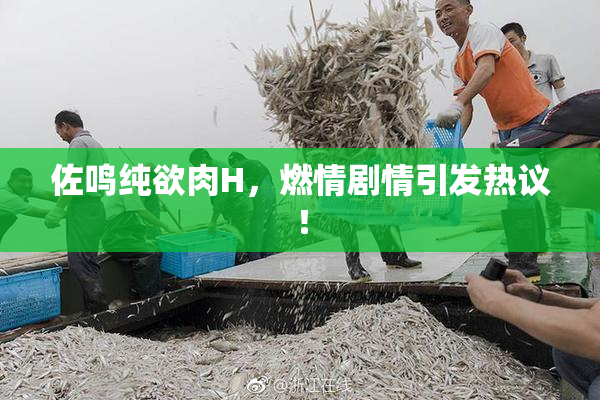 佐鸣纯欲肉H，燃情剧情引发热议！