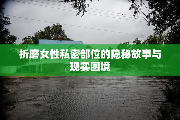 折磨女性私密部位的隐秘故事与现实困境
