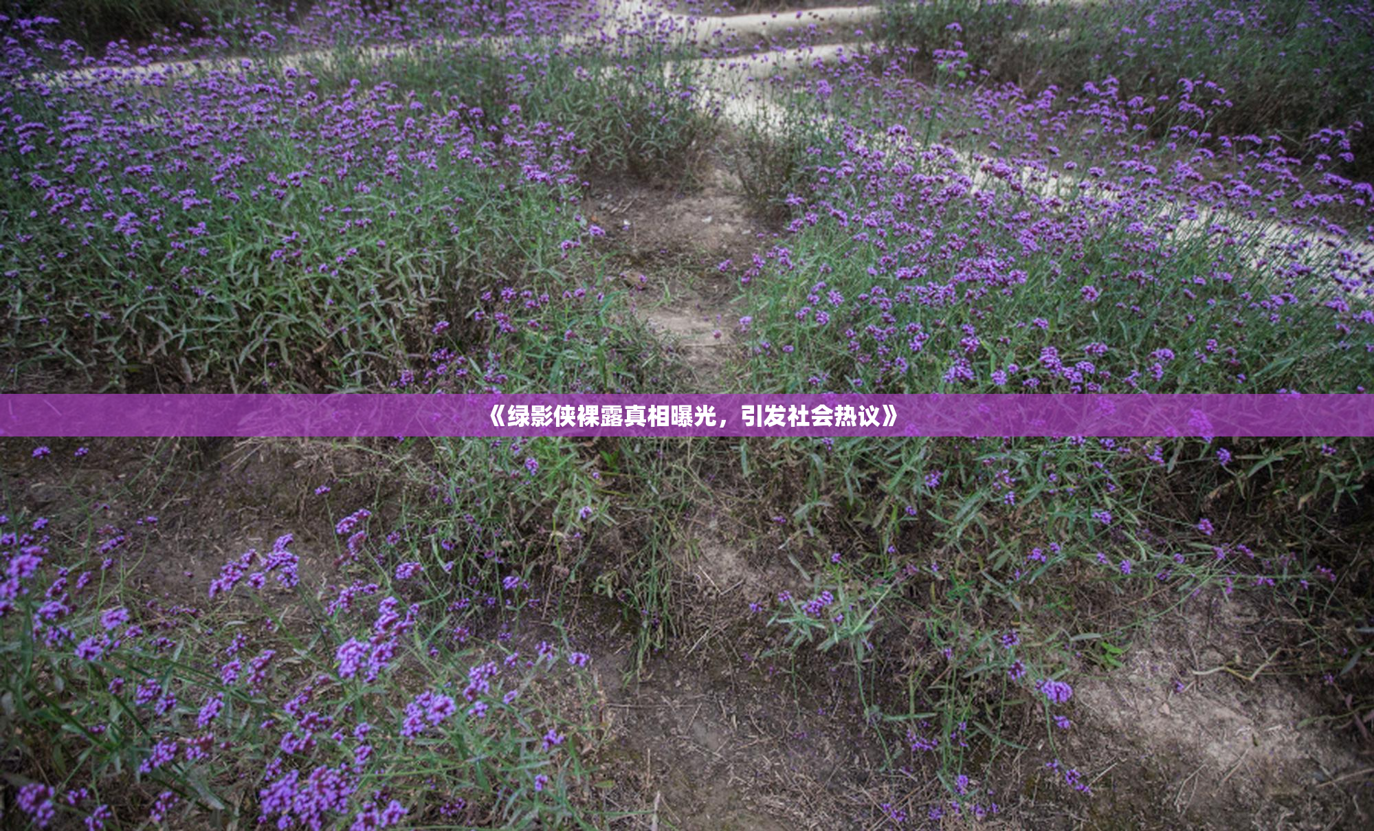 《绿影侠裸露真相曝光，引发社会热议》