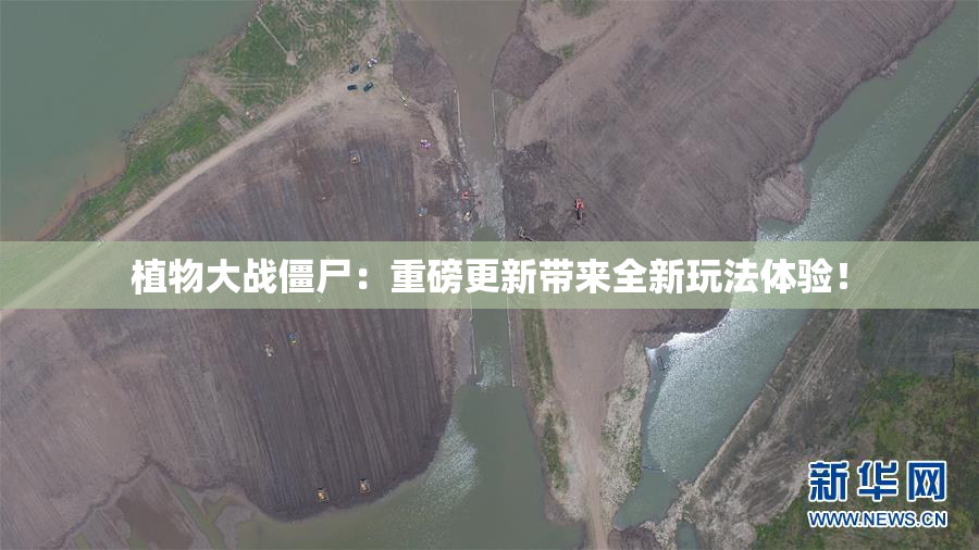 植物大战僵尸：重磅更新带来全新玩法体验！