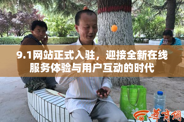 9.1网站正式入驻，迎接全新在线服务体验与用户互动的时代