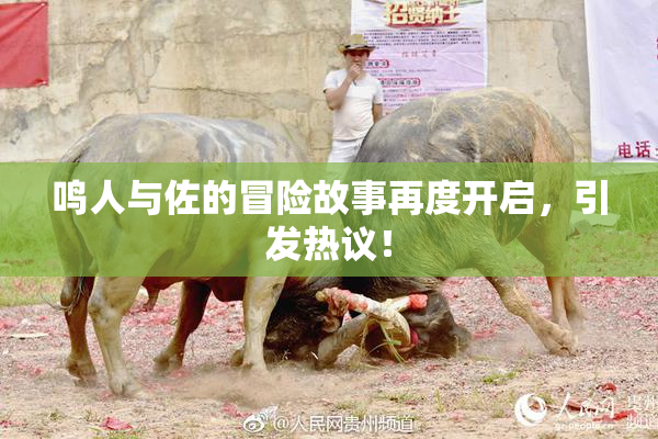 鸣人与佐的冒险故事再度开启，引发热议！