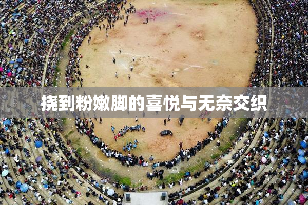 挠到粉嫩脚的喜悦与无奈交织