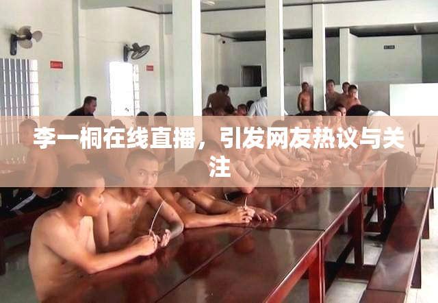 李一桐在线直播，引发网友热议与关注